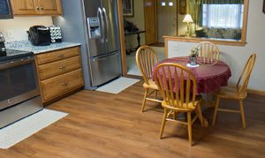 Hamlin & Livingston Duplexes – Londonderry Village