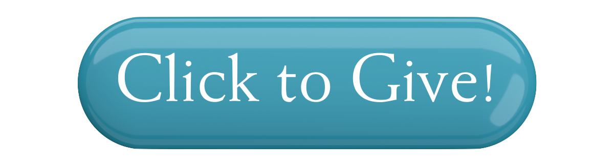 GEM vehicle Giving Meter (1)